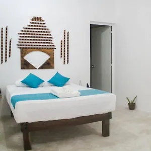 mm-apartments-holbox.quintano-roohotels.com/