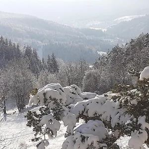  Appartement Sur Les Piste France